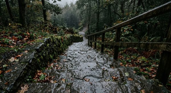 Escalier glissant : les revêtements qui tiennent vraiment sous la pluie